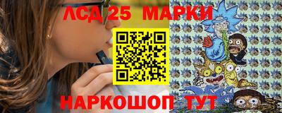 гидропоника Можга