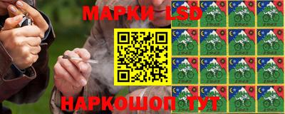 гидропоника Можга