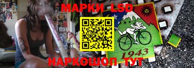 гидропоника Можга