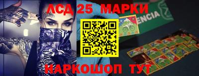 гидропоника Можга