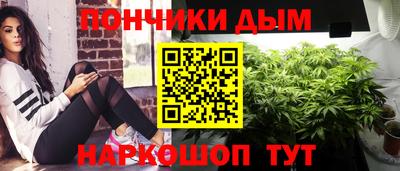 гидропоника Можга