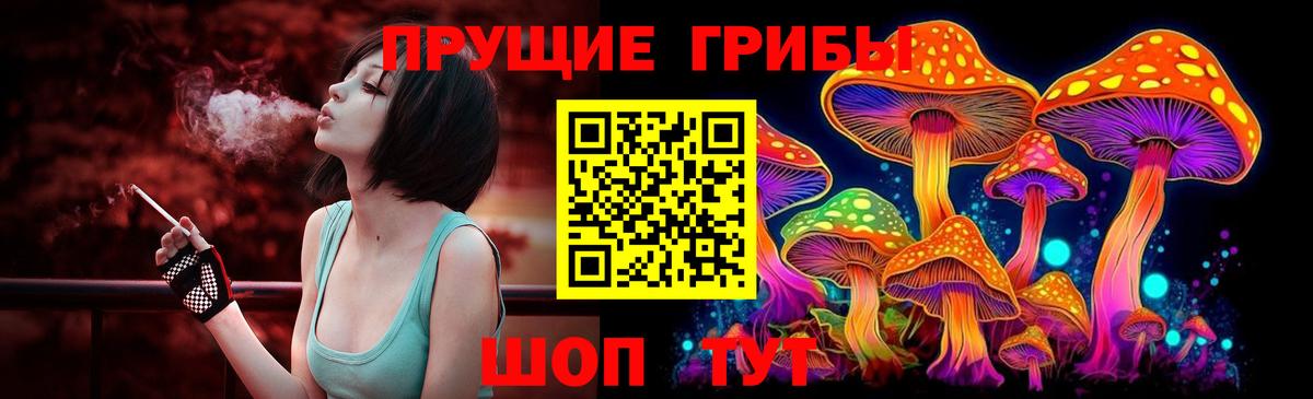 Курск  Галлюциногенные грибы Psilocybe  Вход с VPN 