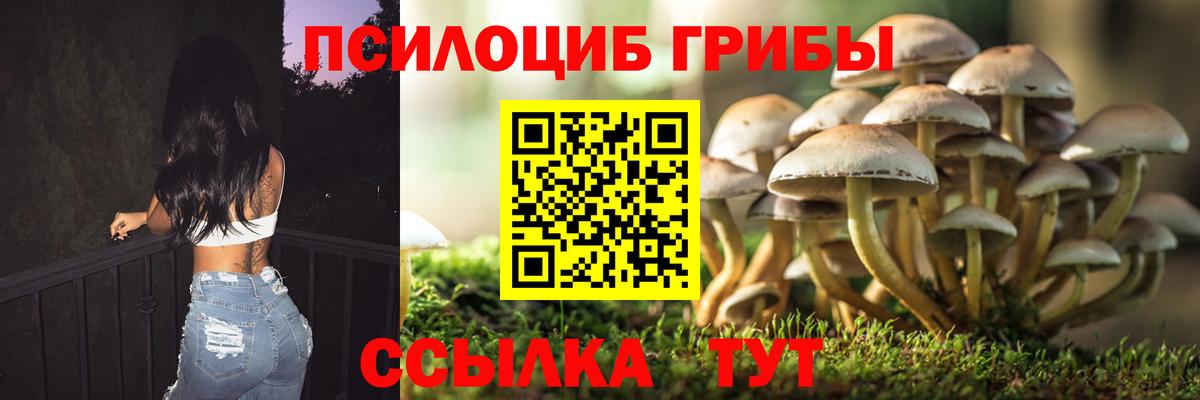 Псилоцибиновые грибы ЛСД Курск